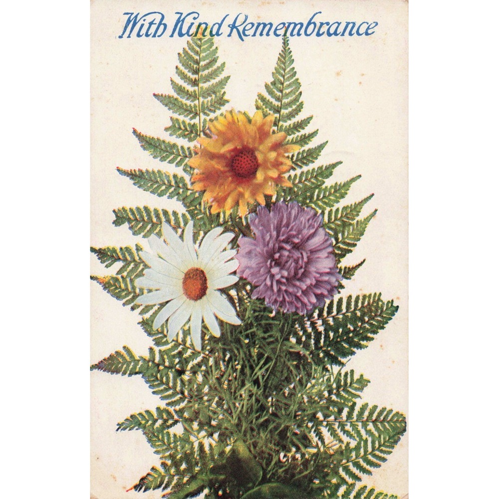 Vintage With Kind Remembrance Floral Postcard Ferns Daisy Aster Mattoon IL VG - Picture 1 of 2
